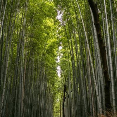 爱趣神途正版手游下载